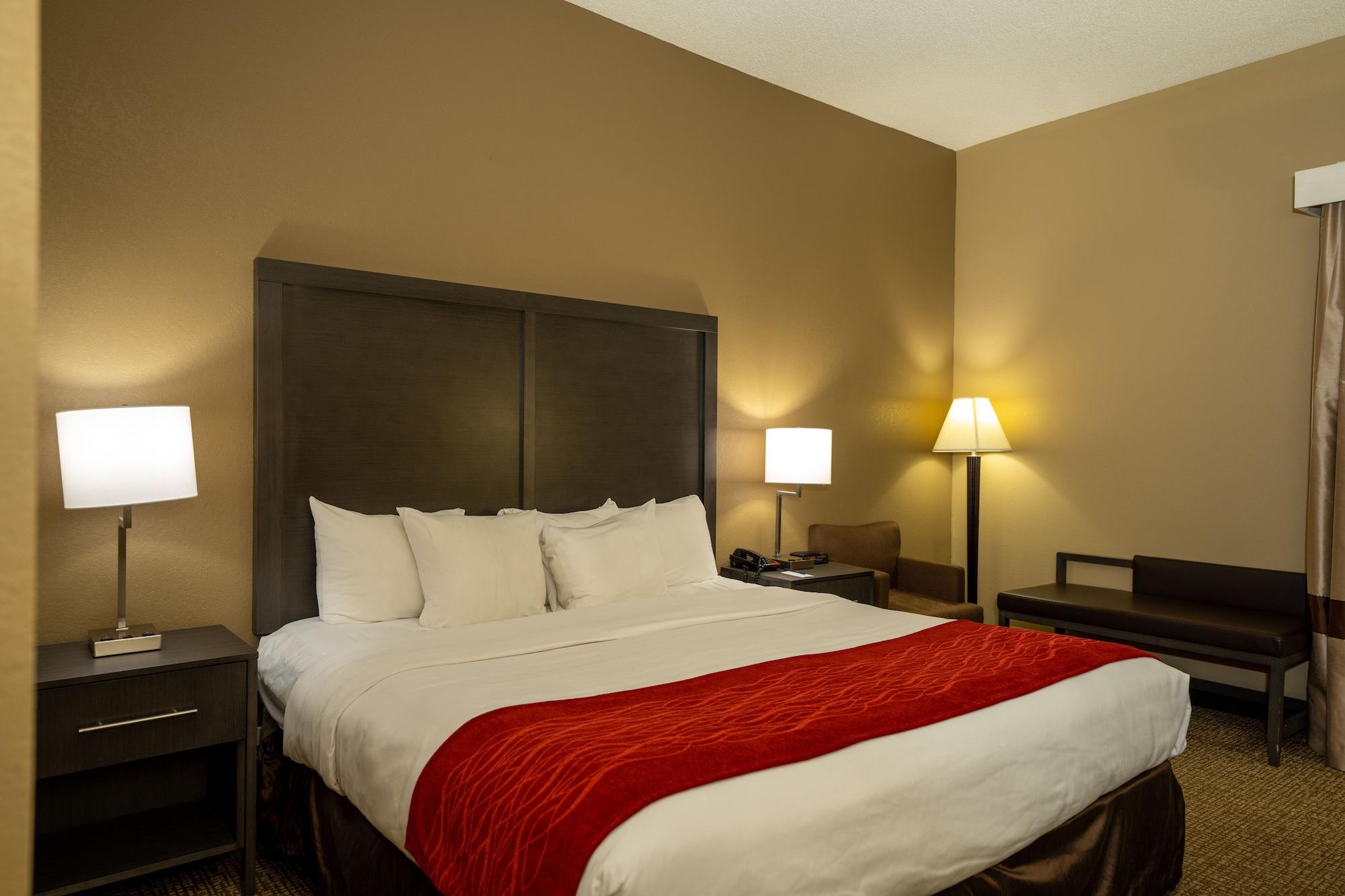 Comfort Inn Opelika - Auburn Exterior foto